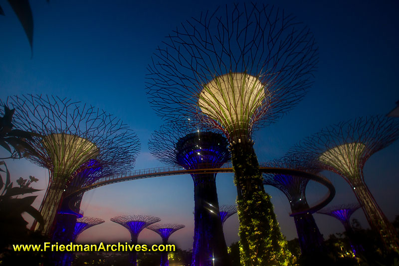 tourist,luxury,singapore,hotel,gardens,architecture,dusk,dawn,blue,towers,icon,holiday,vacation,