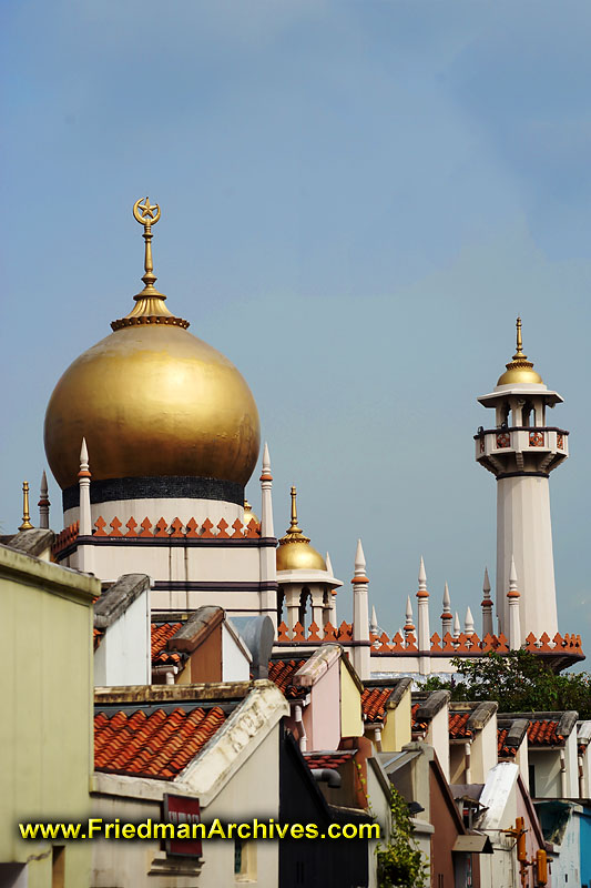 architecture,singapore,buildings,residential,temple,mosque,houses,tower,
