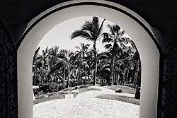 Img113