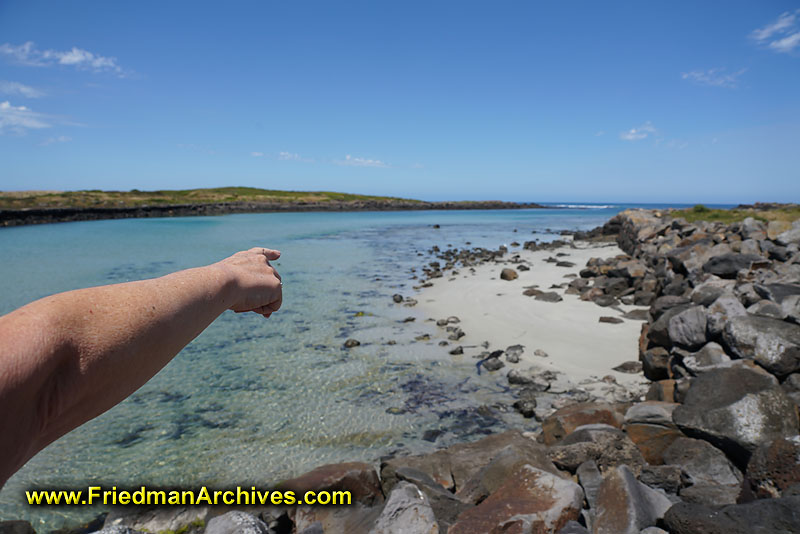 beach,water,ocean,pointing,arm,hand,interest,point of,