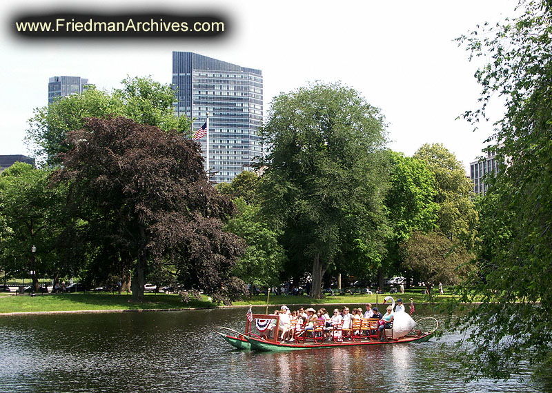 Swan Boats PICT2090