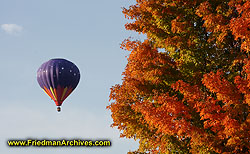 Baloon and Red Leaves different crop DSC01343