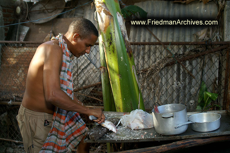 Cooking fish 1 300 dpi PICT3434