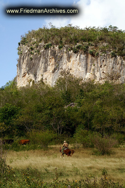 Cowboy and Mountain 300 dpi PICT4038