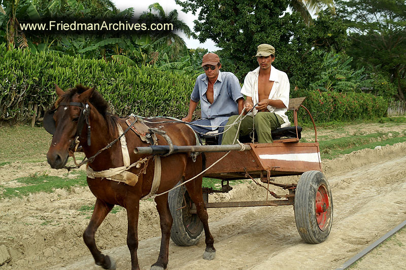 Horse Cart 1 300 dpi PICT4174