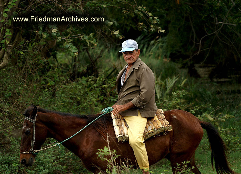 Man on Horseback 2 300 dpi PICT3698