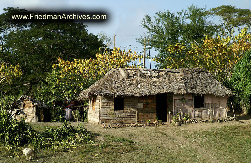 Shack nicely kept 300 dpi PICT4255