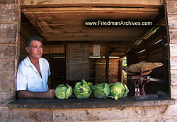 Cabbage Vendor 300 dpi PICT9126