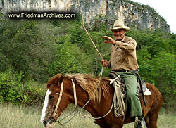Cowboy waving Goodbye 300 dpi PICT4041