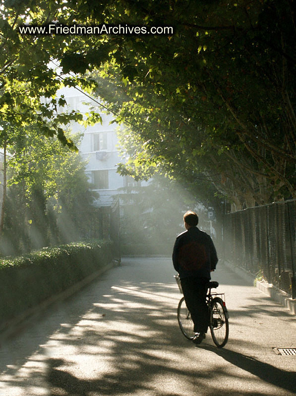 Bicycle in Sunlight