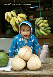 Baby Bananas and Coconuts
