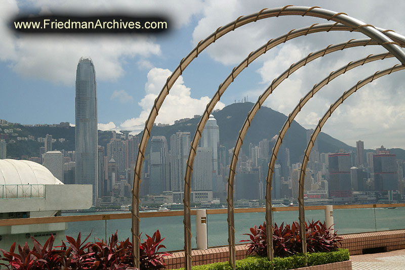 Bridge and Hong Kong Skyline