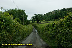 English Countryside Road RX502914 LR6