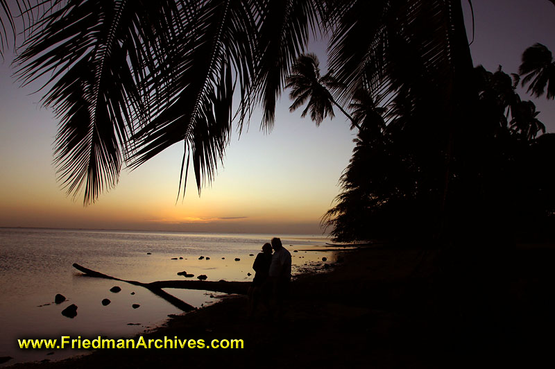 silhouette,sunset,dusk,dawn,romance,hawaii,palm,sunrise,sky,water,reflection,love,valentine's,togetherness,