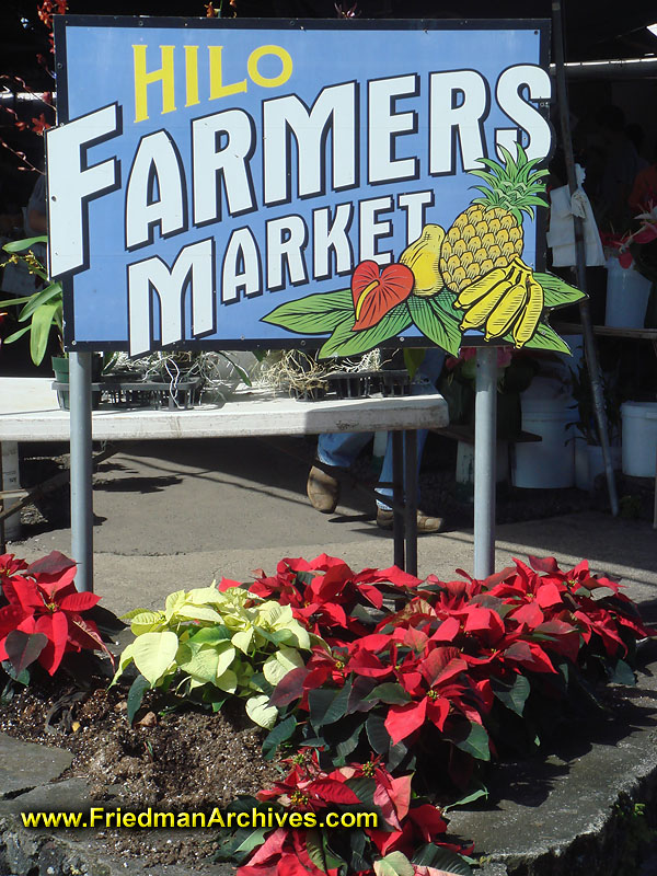 produce,economy,farming,agriculture,town,local,fuits,vegetables,crafts,sign,flowers,