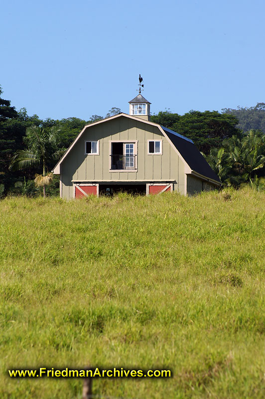 agriculture,field,green,sky,blue,pasture,scenic,