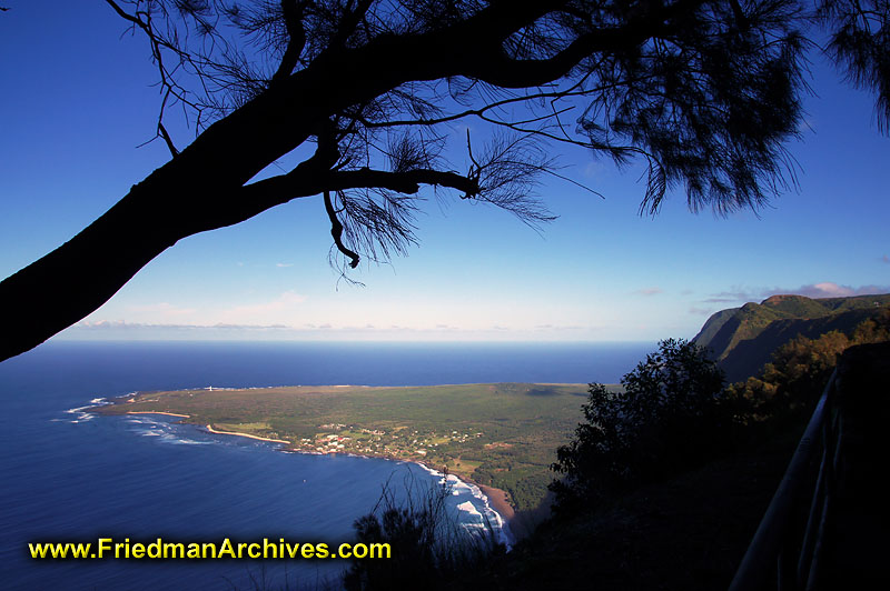 colony,leper,hawaii,scenic,silhouette,tree branch,