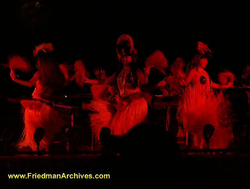Hawaii Images / Hula Dancers (Red)