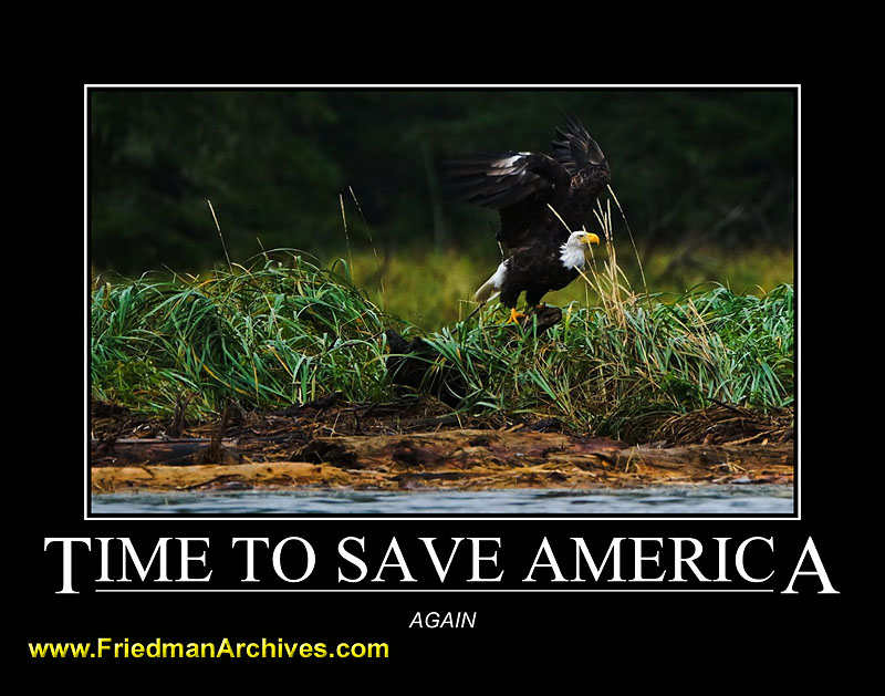 bears,motivational,posters,water,grizzly,grizzley,