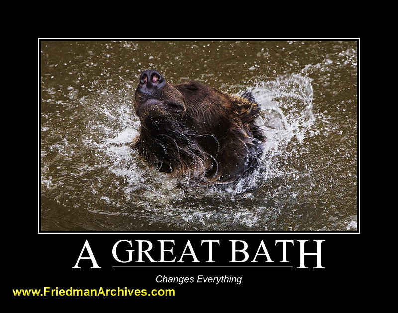 bears,motivational,posters,water,grizzly,grizzley,