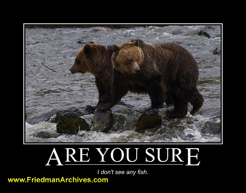 bears,motivational,posters,water,grizzly,grizzley,