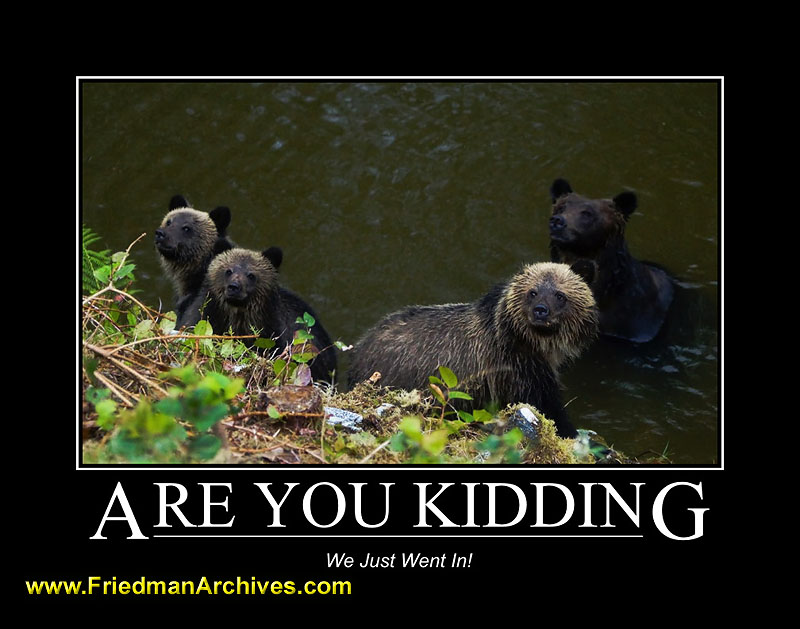bears,motivational,posters,water,grizzly,grizzley,