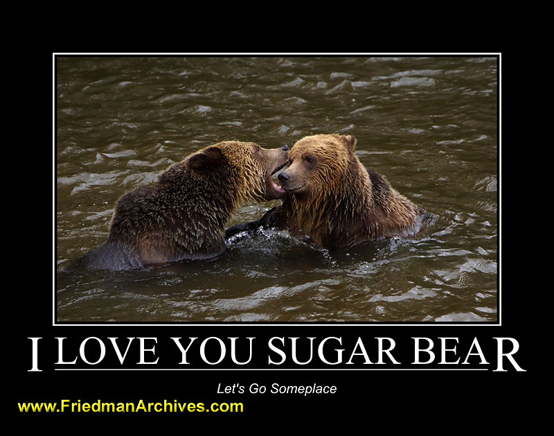 bears,motivational,posters,water,grizzly,grizzley,