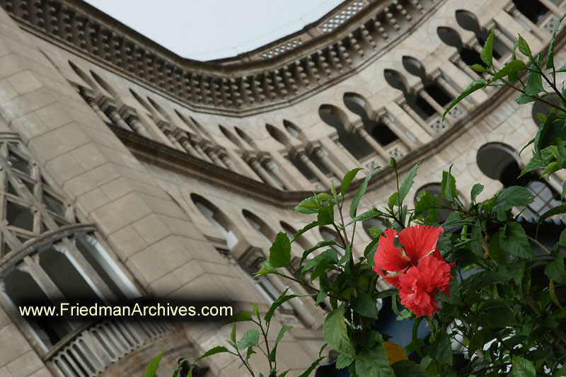 flower,architecture,door,doorway,