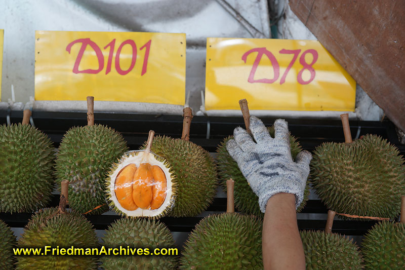 fruit,smelly,stench,pungent,malaysia,spikes,yummy,