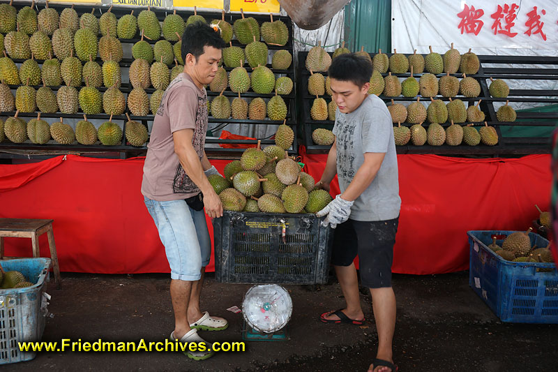 fruit,smelly,stench,pungent,malaysia,spikes,yummy,