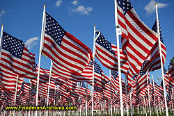 American Flags DSC05811