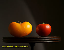 Yellow and Red Tomatoes 8.5 x 11 DSC09641
