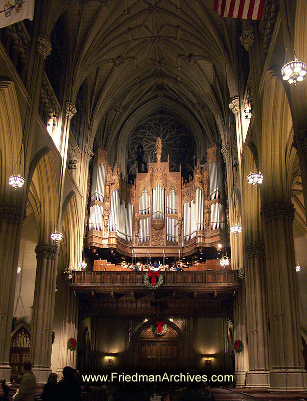 Pipe Organ in Cathedral PICT4605