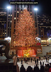 Rockefeller Center Christmas Tree PICT4630