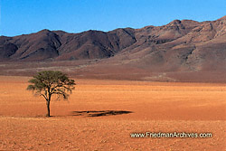 Namibiya