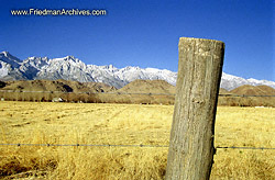 Fencepost