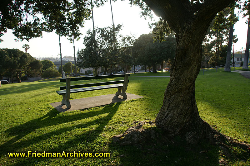 park,leisure,relax,lonely,isolated,calm,serene,green,tree,sunlight,mood,pensive,reflective,reflecting,