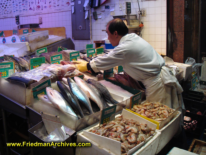 Fish Market