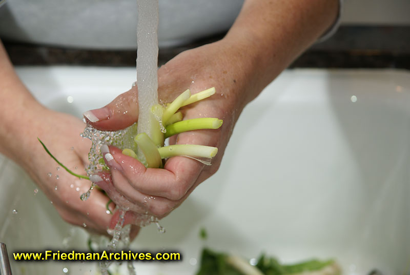 Washing Vegetables