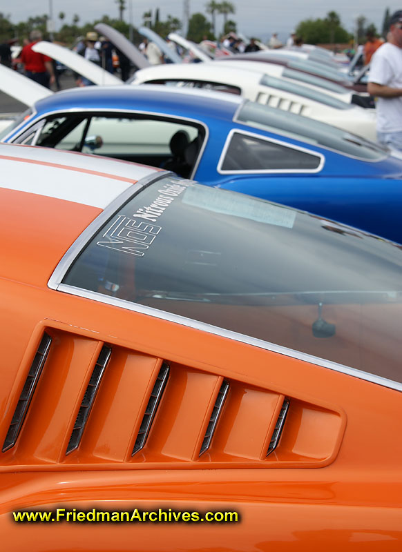 Lineup of Mustangs