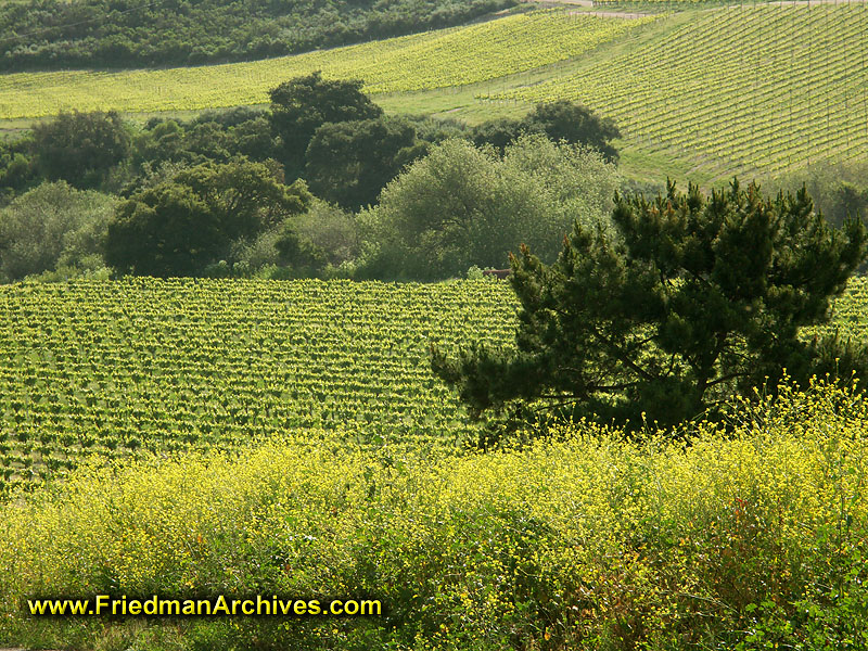 Farmland