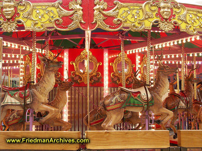 Merry Go Round Horses