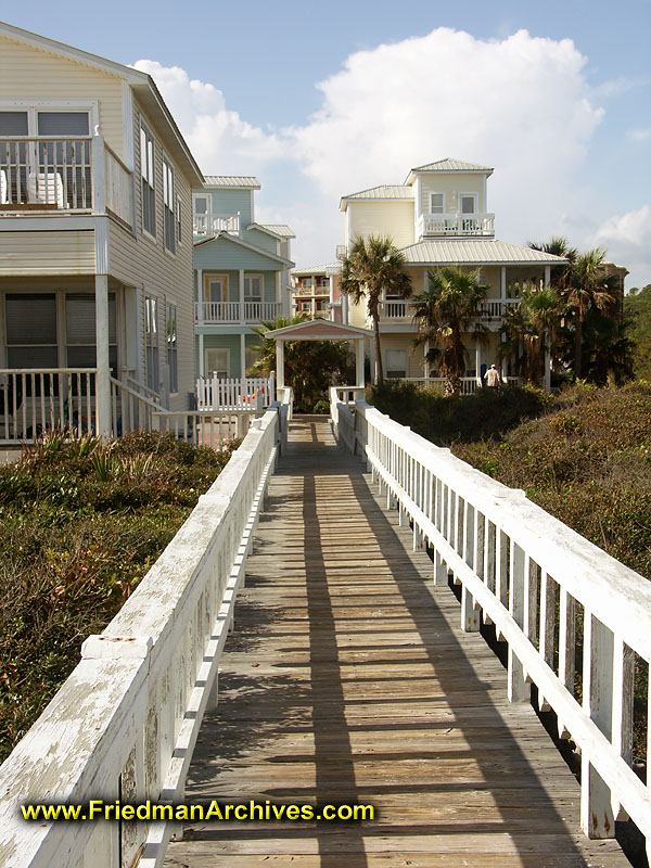 Wooden Walkway