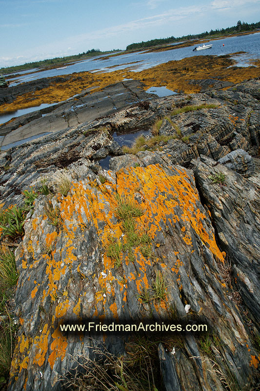 marine,sea,shore,rocks,water,boat,scenic,moss,orange,