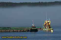 Ship Dock and Fog DSC07273