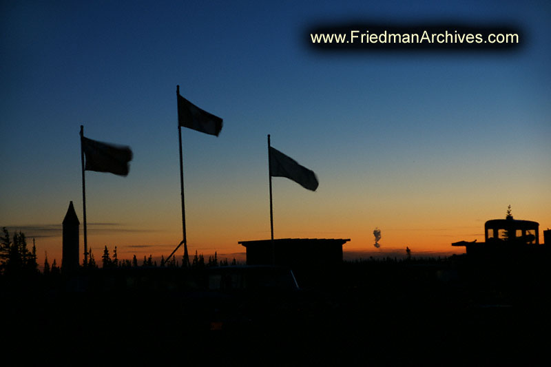 flag,silhouette,sunrise,sunset,wildlife,environment,global warming,arctic,bear,polar,no snow,cute,white,northern,