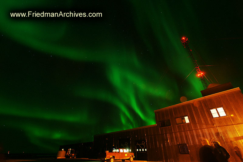 northern lights,wildlife,environment,global warming,arctic,bear,polar,no snow,cute,white,northern,