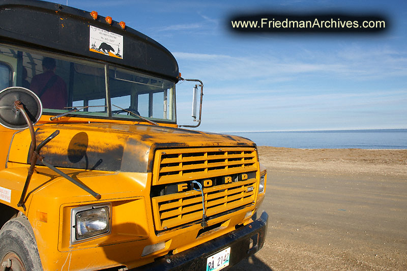 bus,ford,yellow,school bus,landscape,arctic
