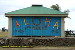 Aloha Blue Building