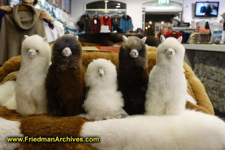 alpaca stuffed animals